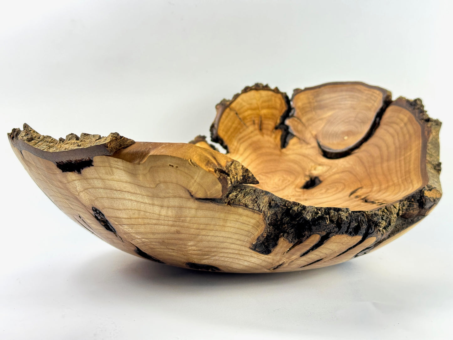 Carbis Bay Cankered Ash no. 26 Bowl - 36cm