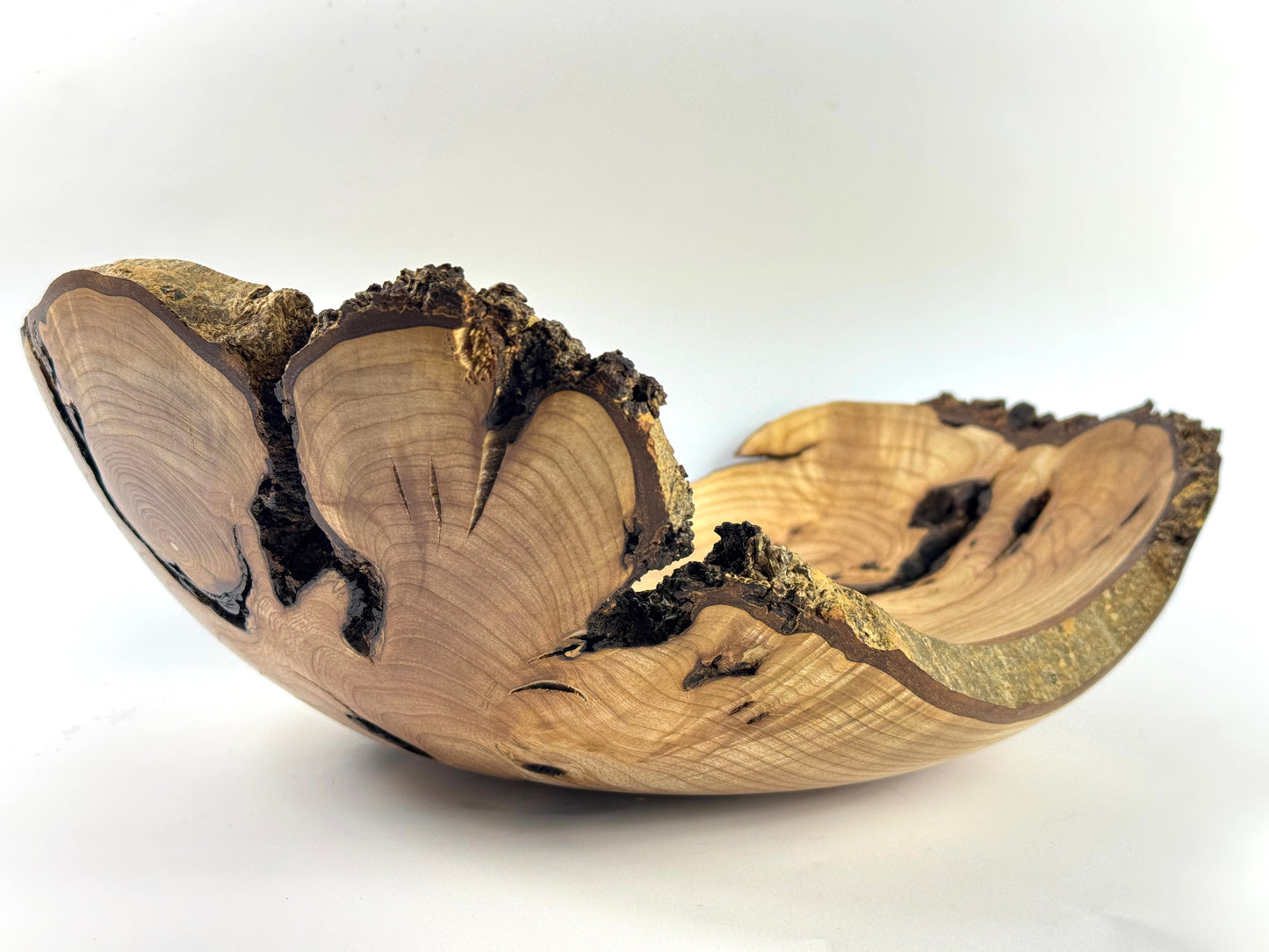Carbis Bay Cankered Ash no. 26 Bowl - 36cm