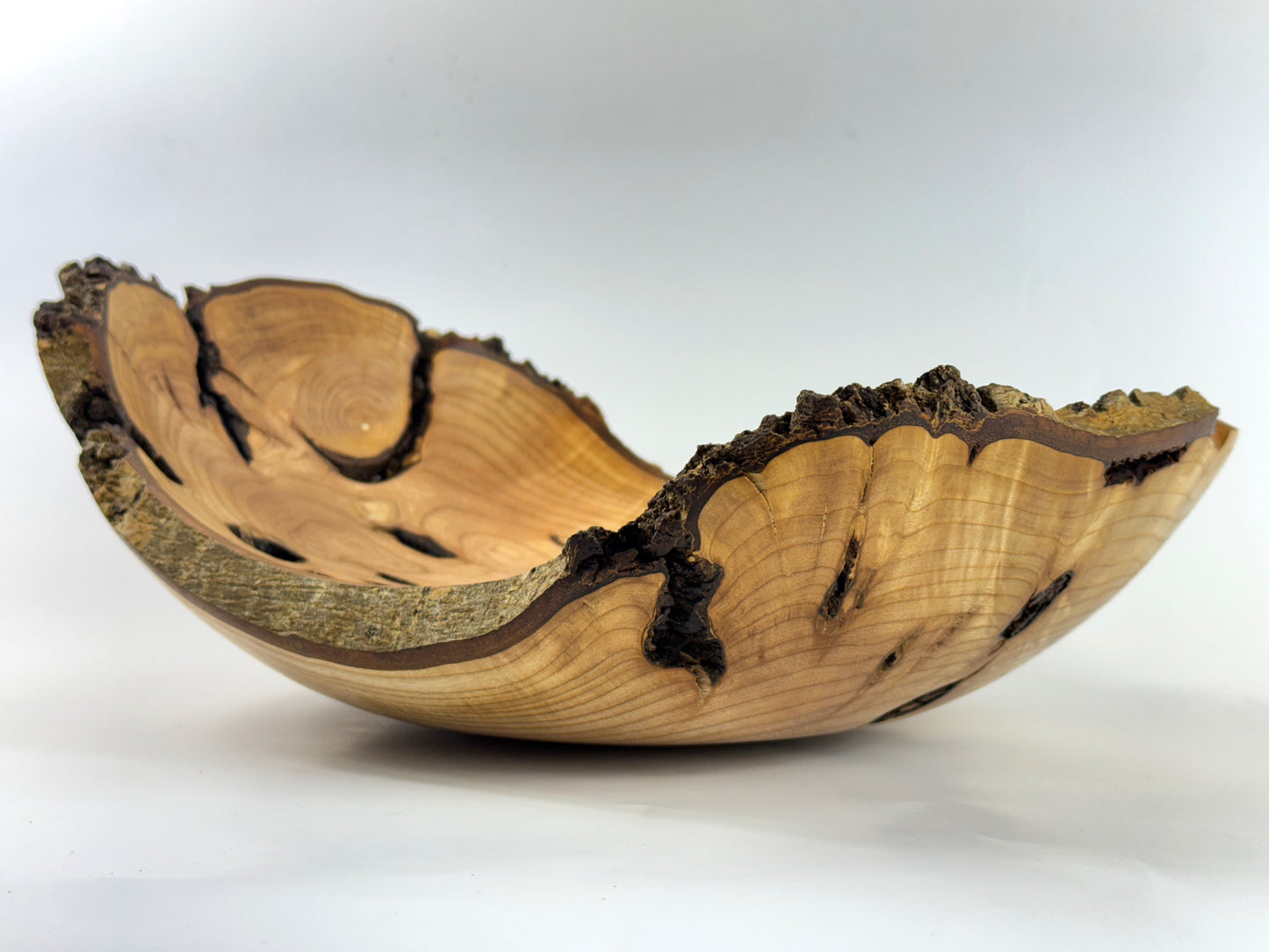 Carbis Bay Cankered Ash no. 26 Bowl - 36cm