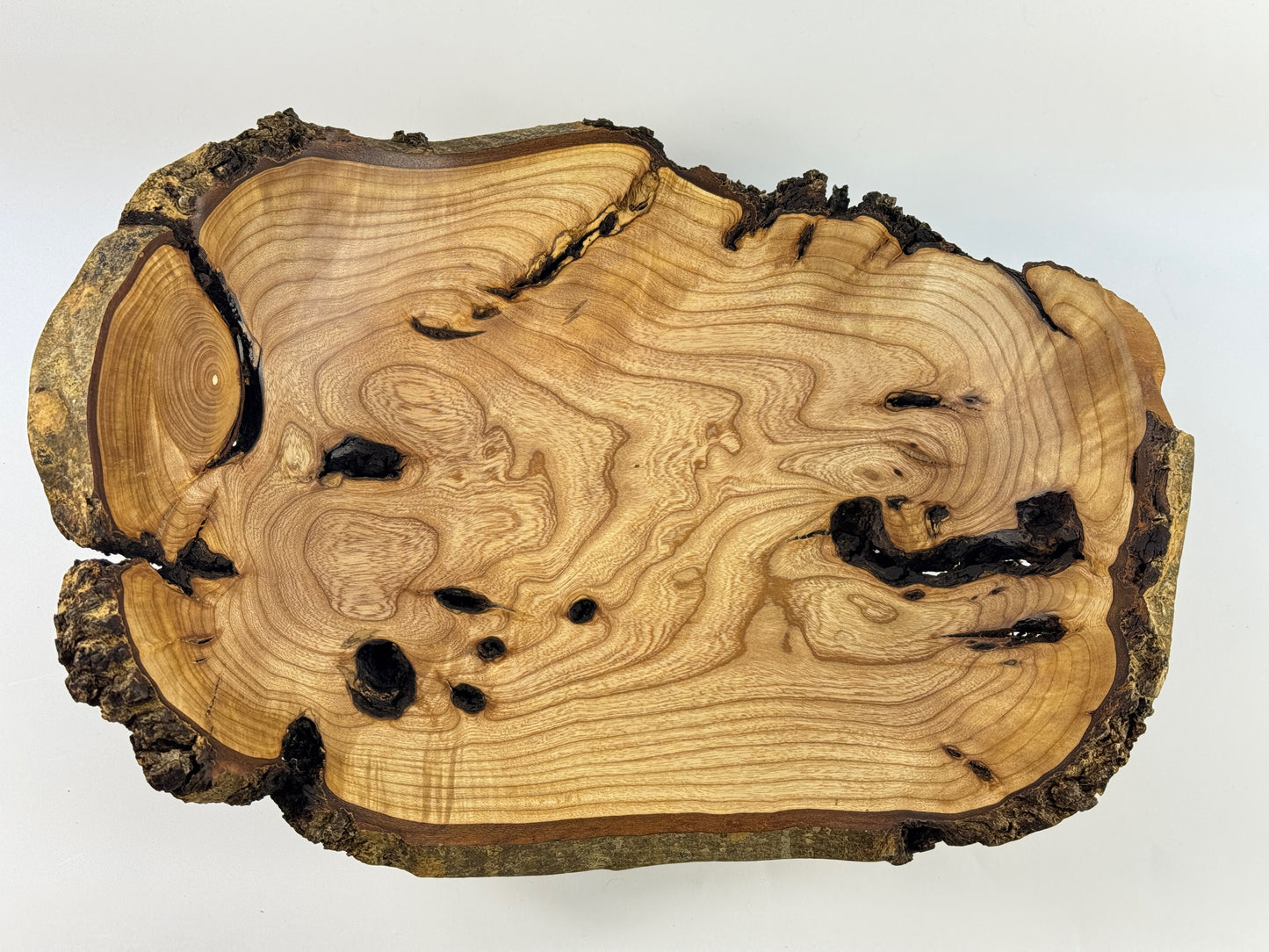 Carbis Bay Cankered Ash no. 26 Bowl - 36cm