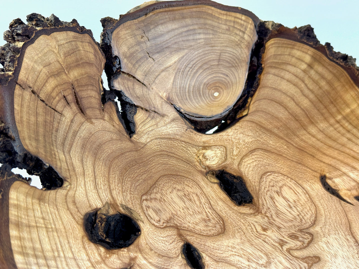 Carbis Bay Cankered Ash no. 26 Bowl - 36cm