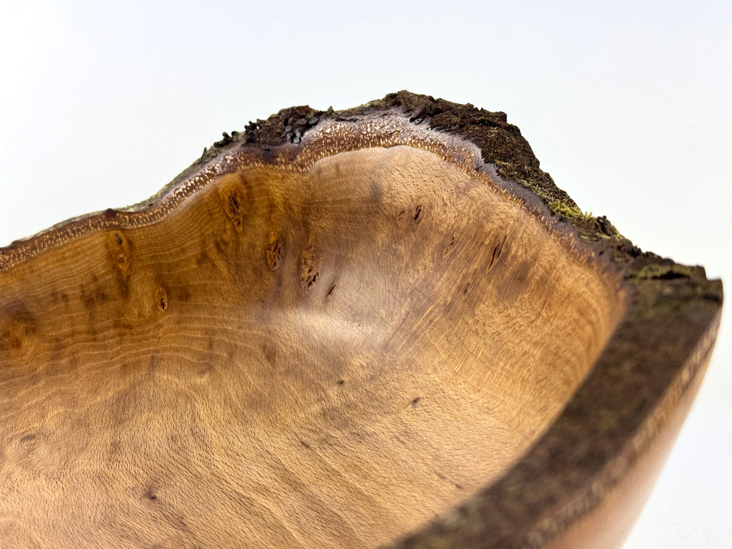 Carbis Bay Beech no. 5 Bowl
