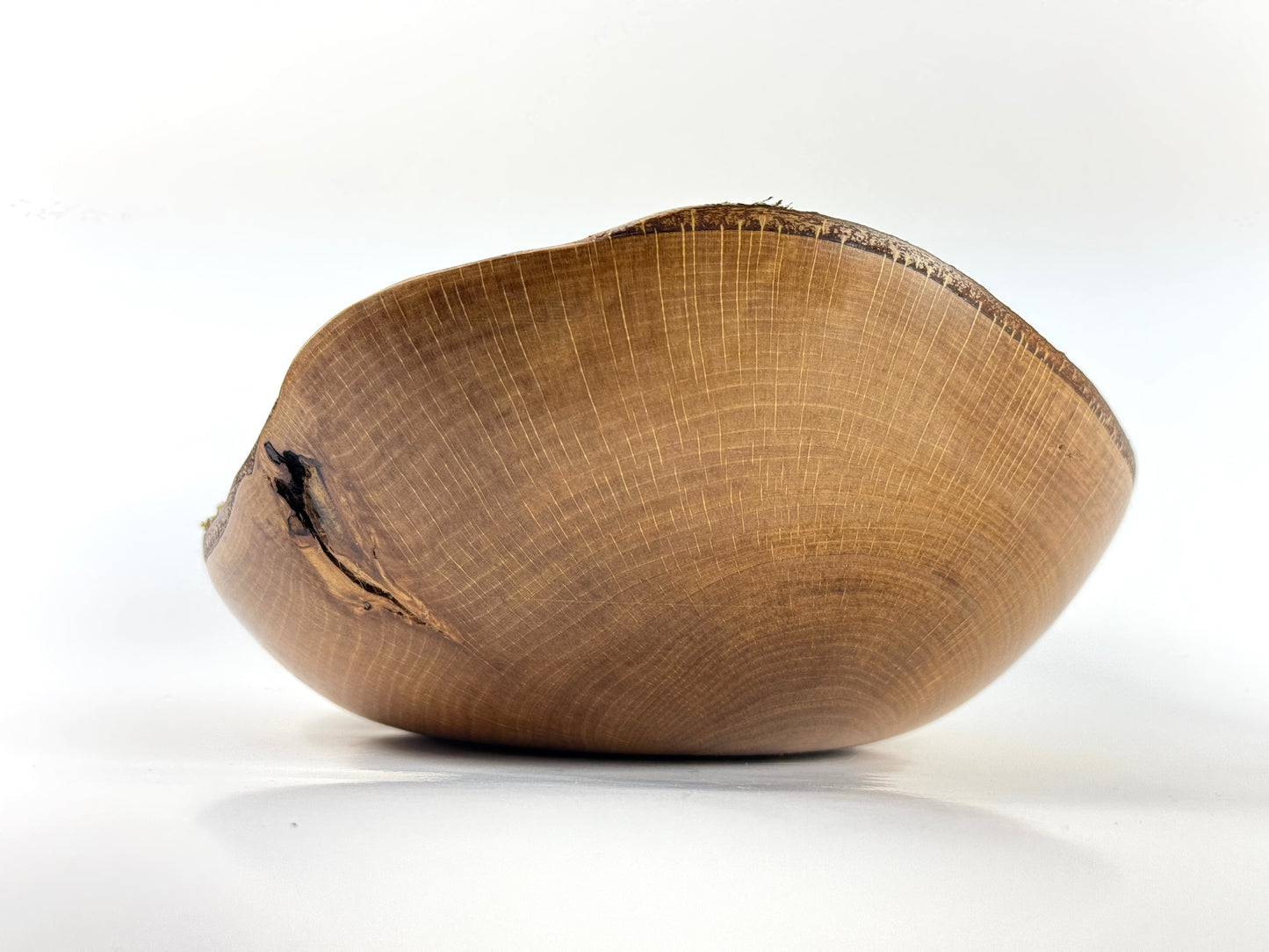 Carbis Bay Beech no. 6 Bowl
