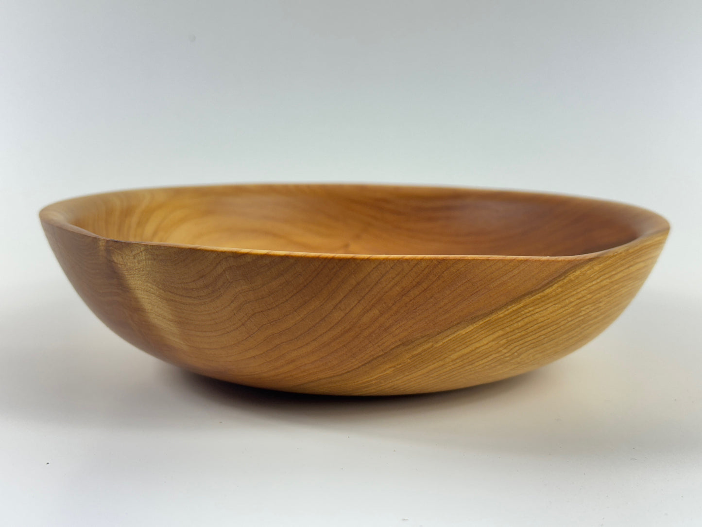 Cornish Macrocarpa 20cm bowl