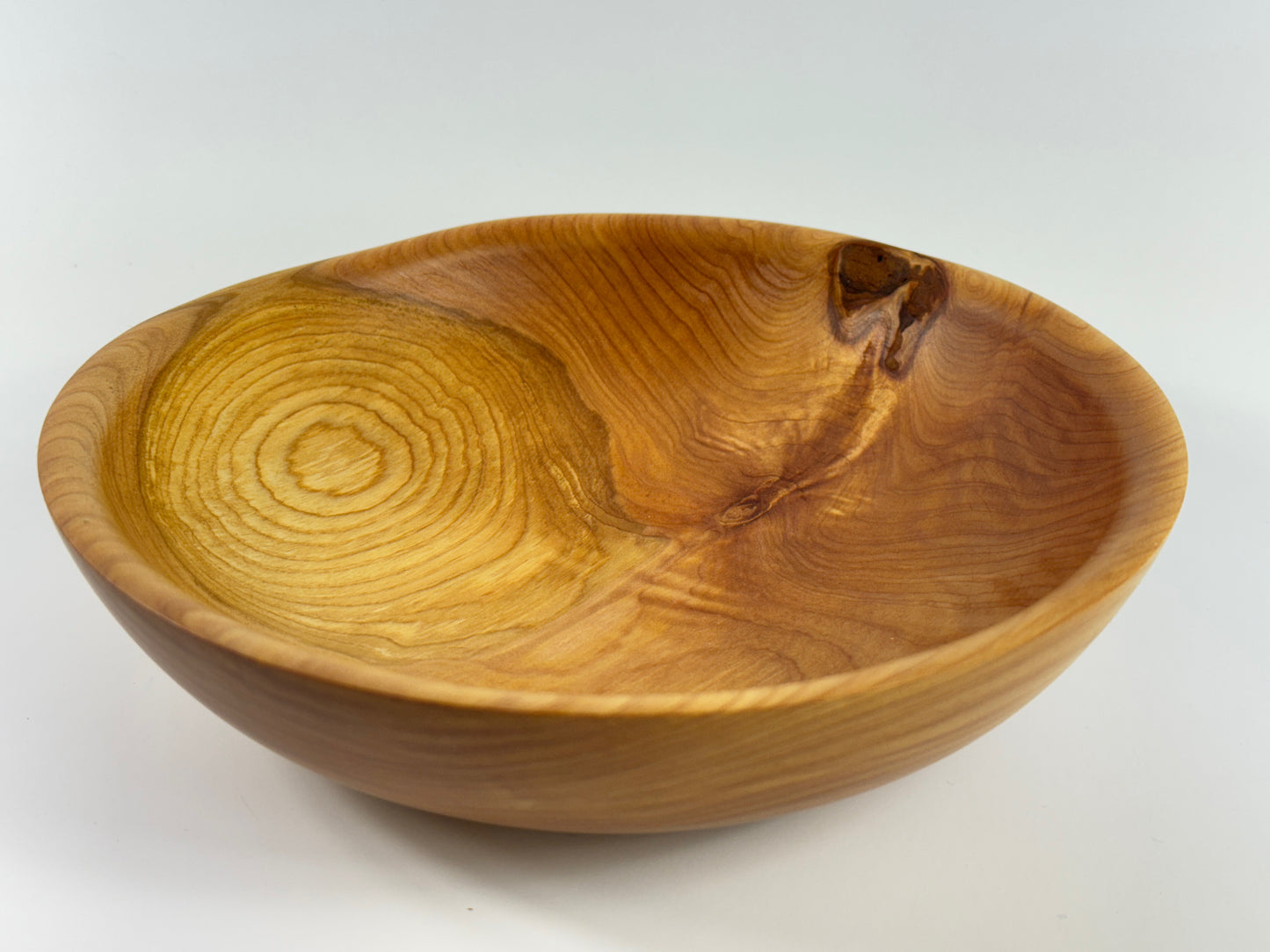 Cornish Macrocarpa 20cm bowl