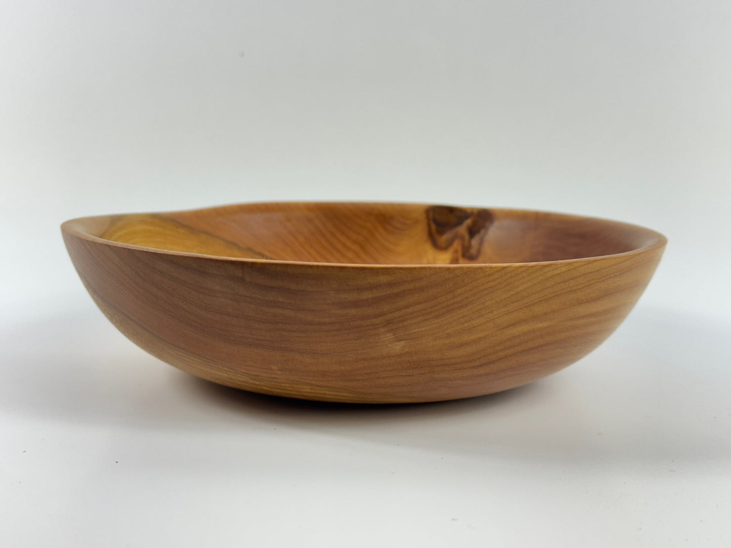 Cornish Macrocarpa 20cm bowl