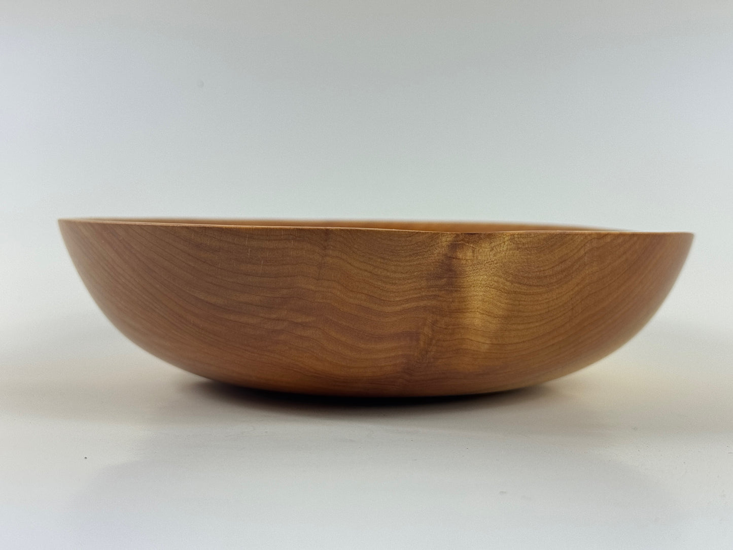 Cornish Macrocarpa 20cm bowl