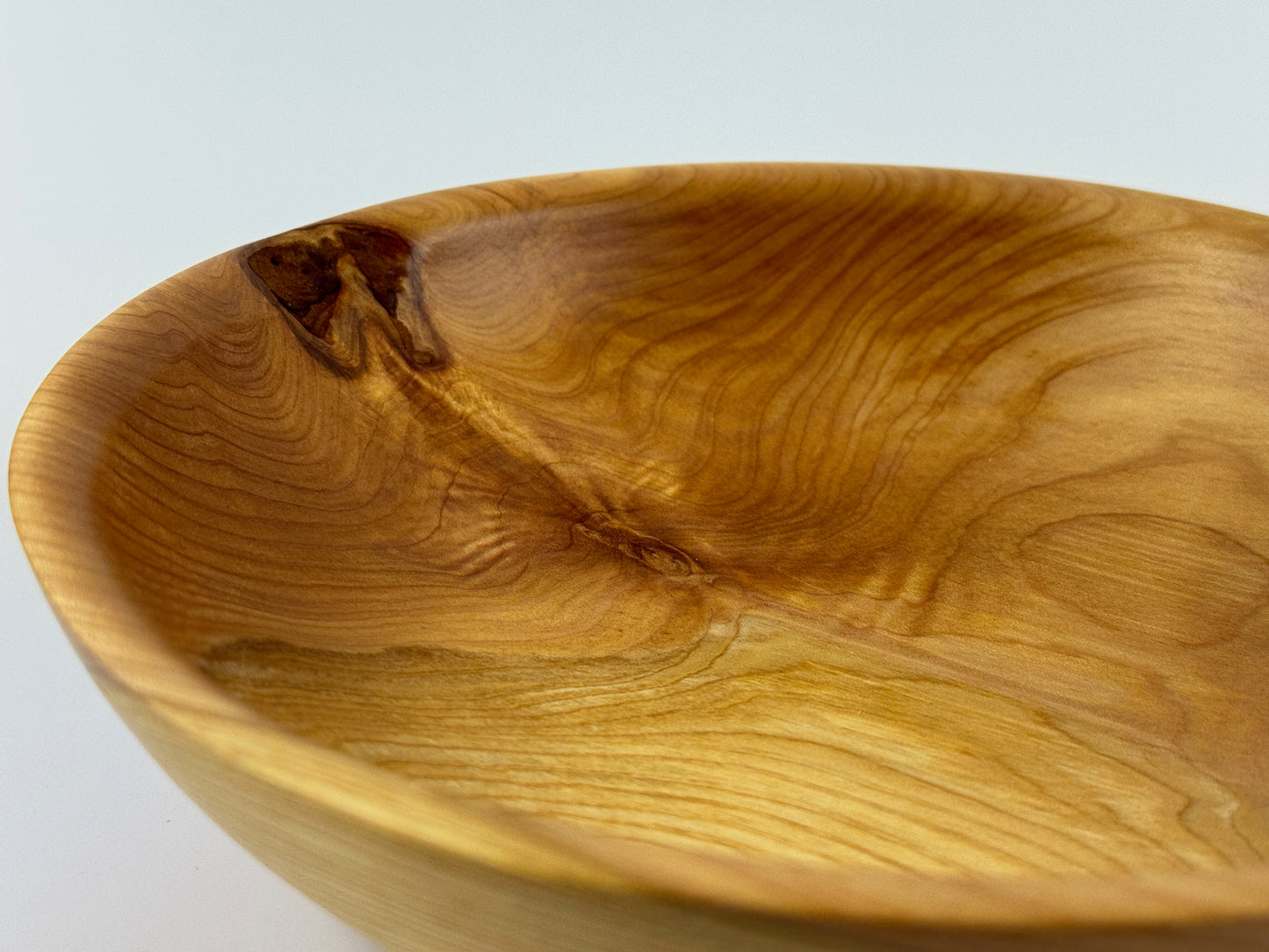 Cornish Macrocarpa 20cm bowl