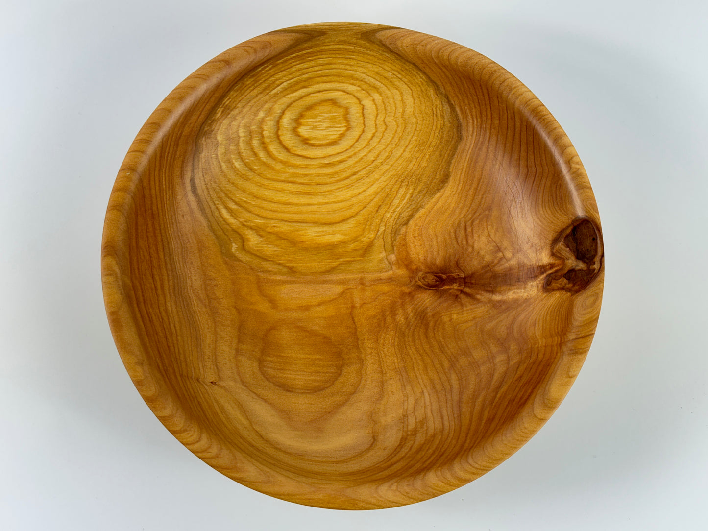 Cornish Macrocarpa 20cm bowl