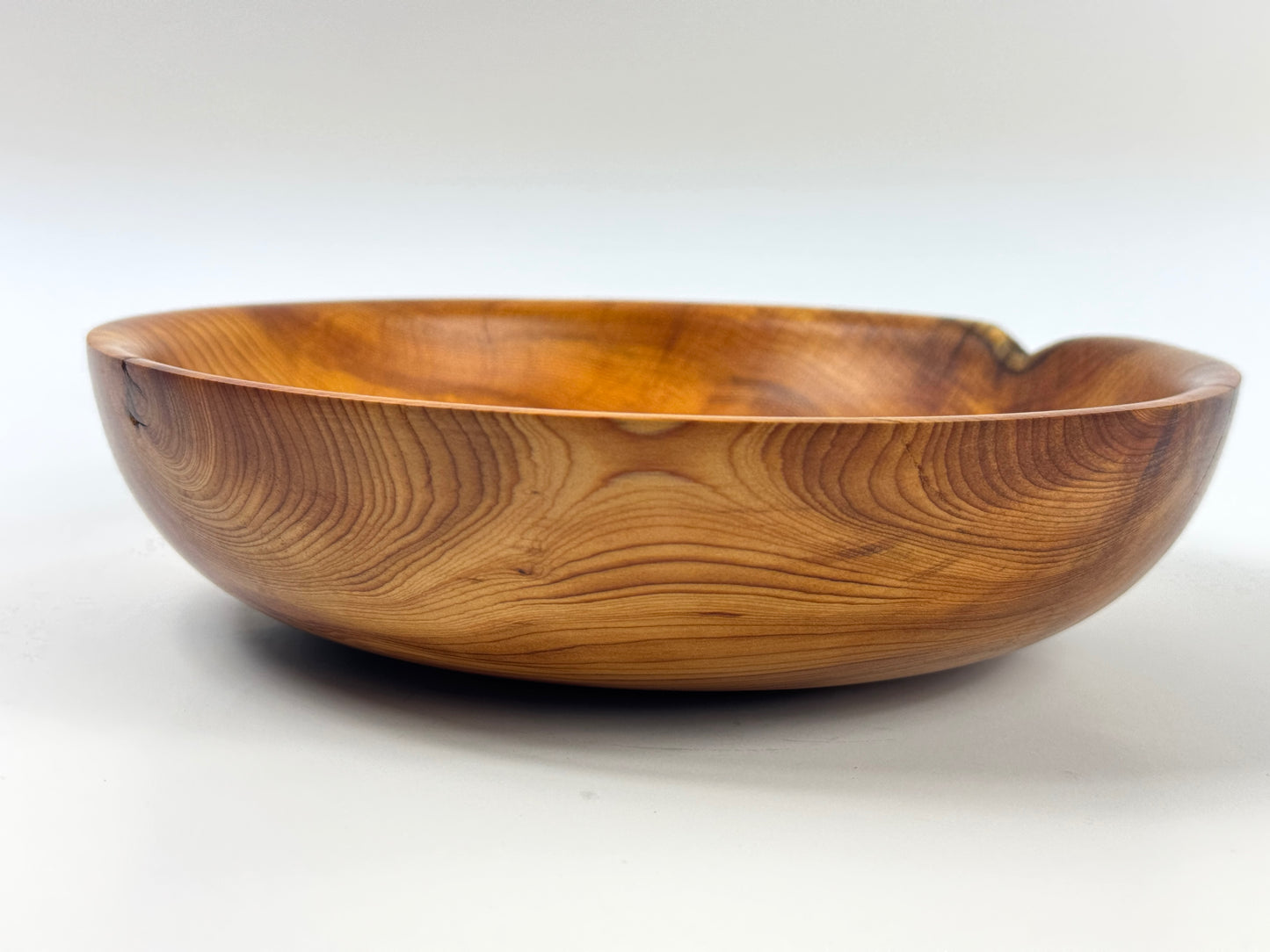 Truro Yew no. 38 bowl - 21cm