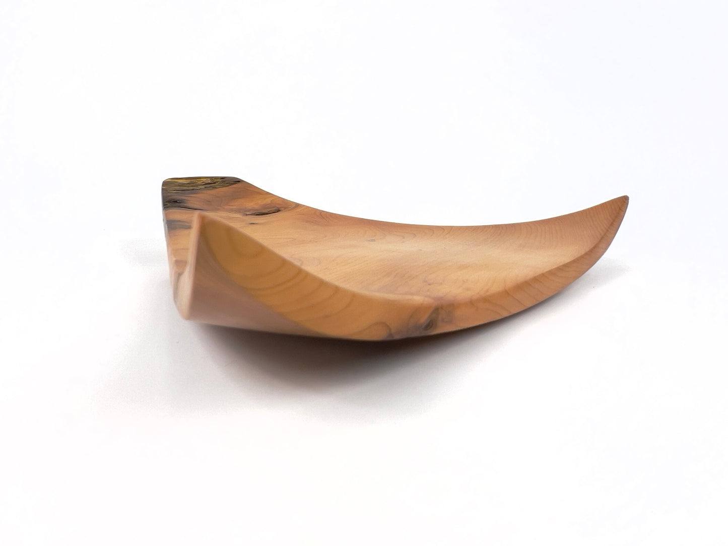 Cornish Yew no.10 bowl