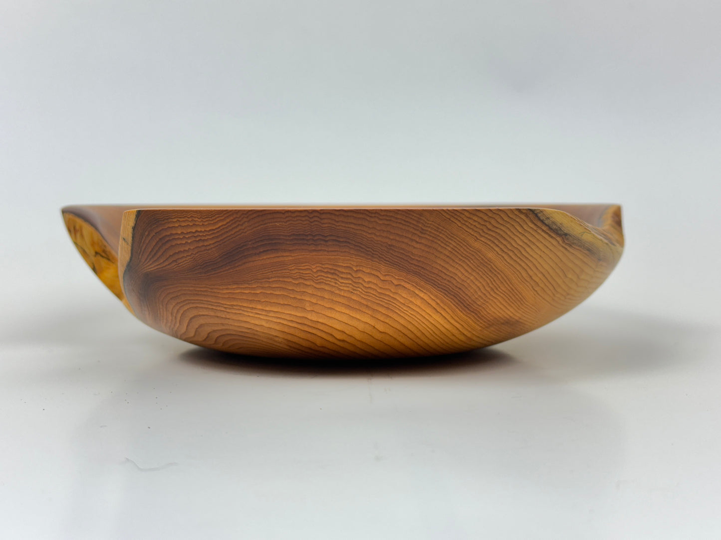 Cornish Yew bowl 21cm