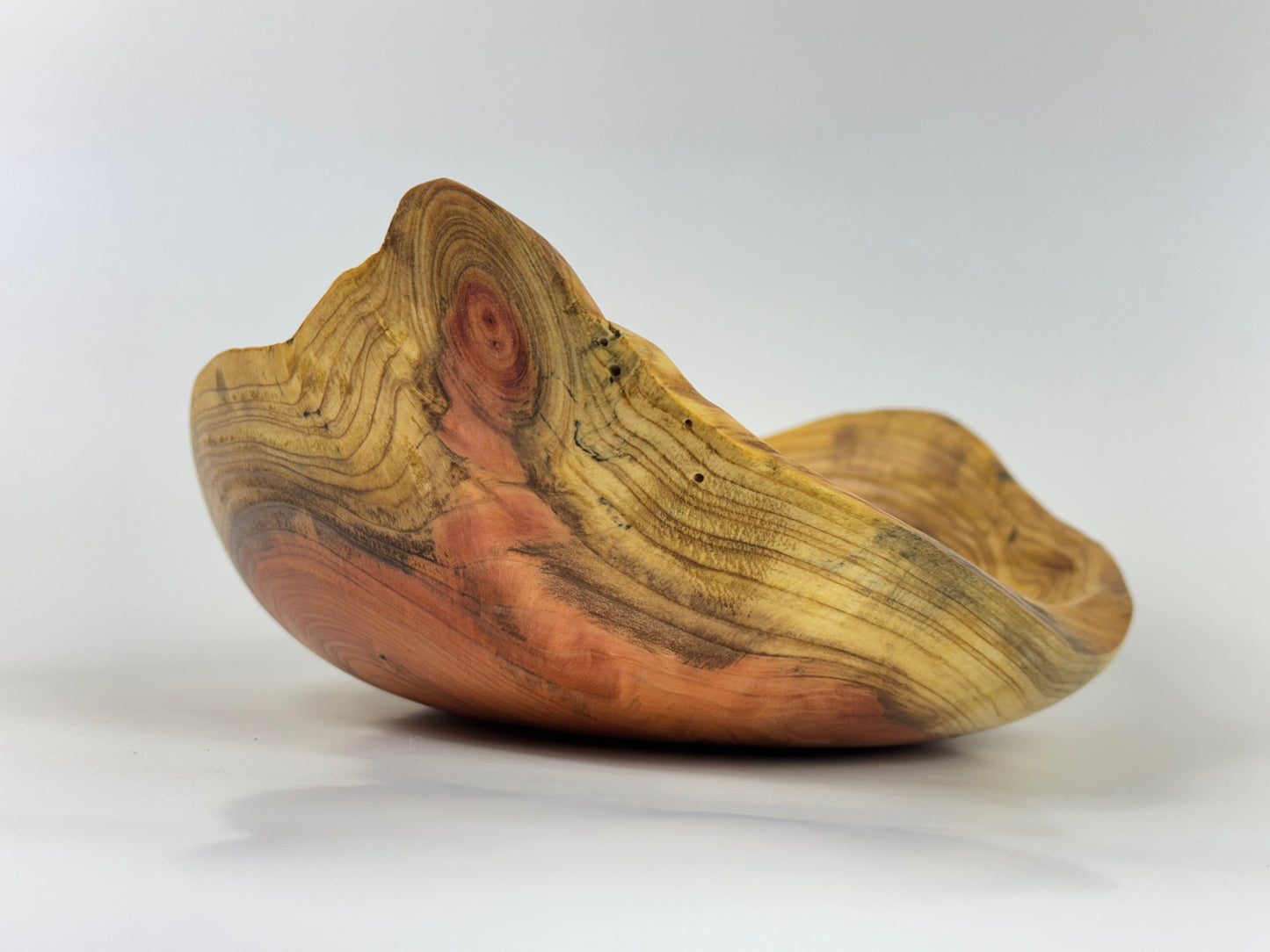 Dawn Redwood no. 8 bowl