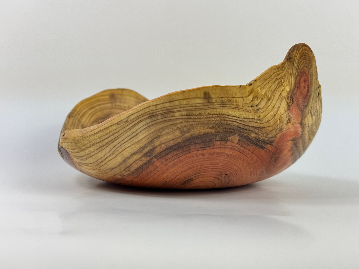 Dawn Redwood no. 8 bowl