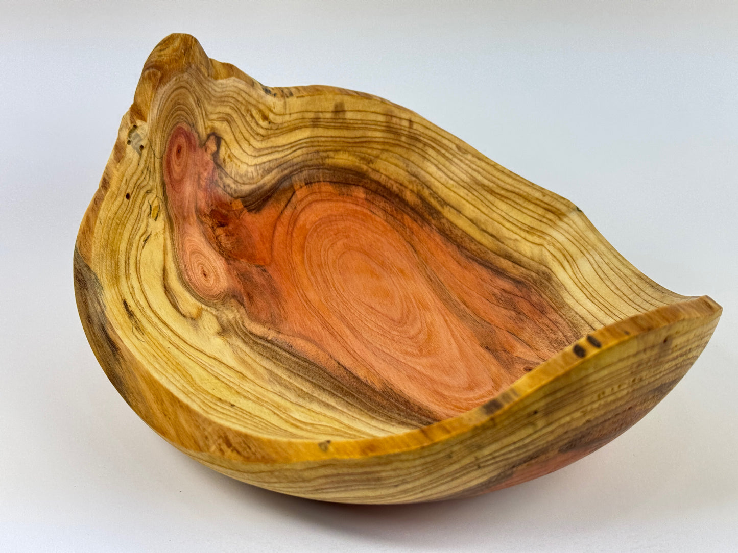 Dawn Redwood no. 8 bowl