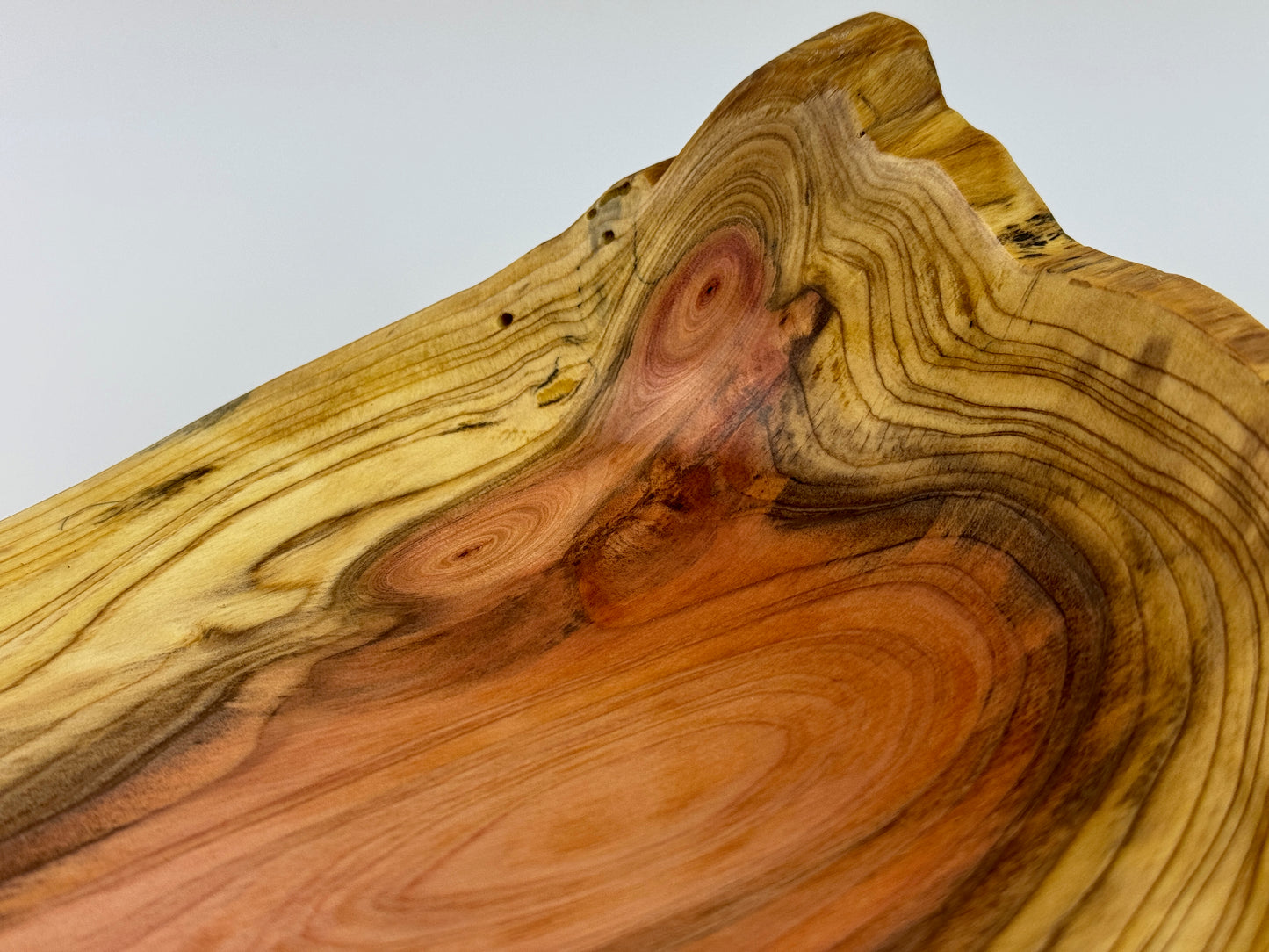 Dawn Redwood no. 8 bowl