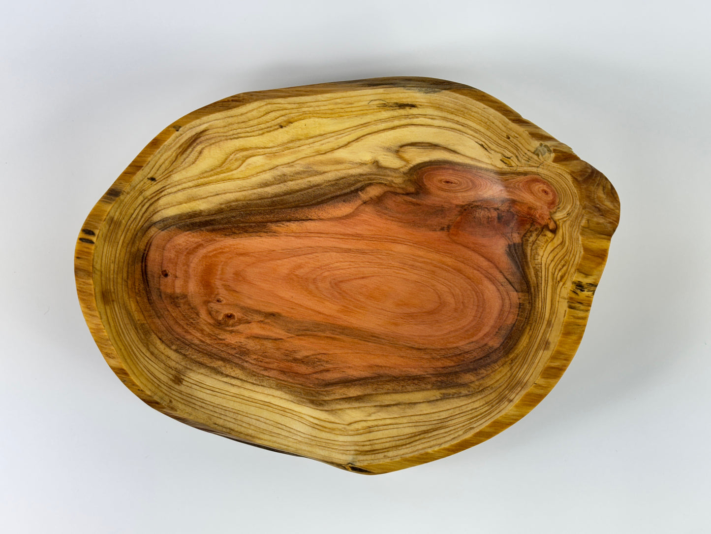 Dawn Redwood no. 8 bowl