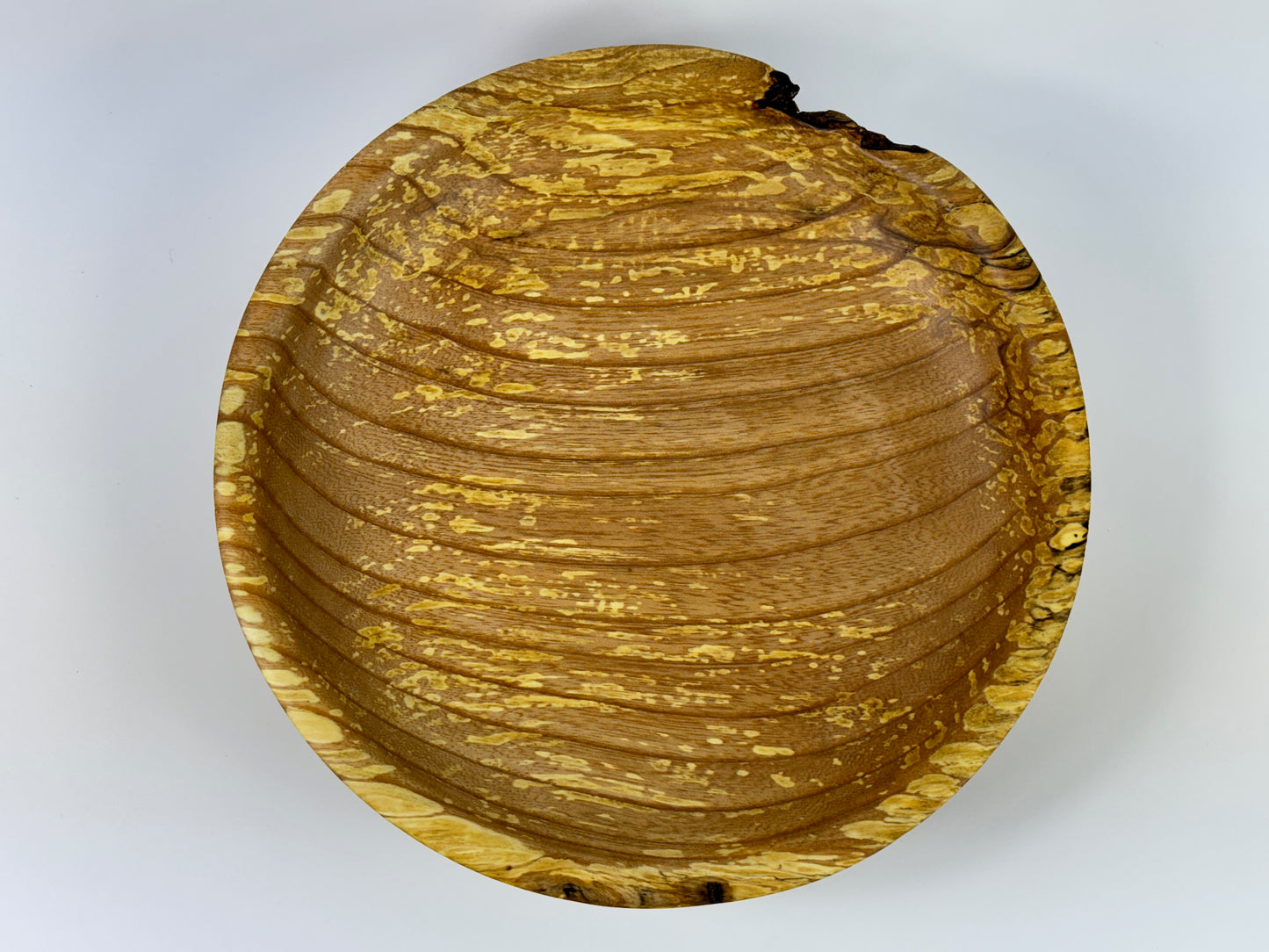 Carbis Bay Cankered Ash no. 24 Bowl