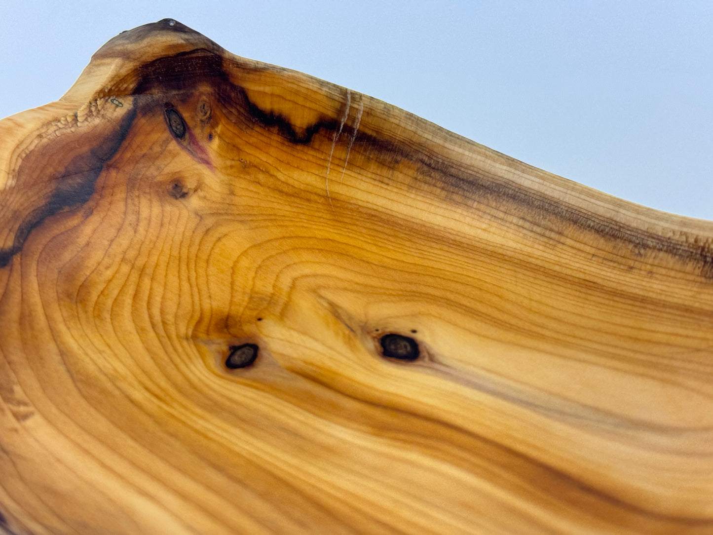 Penzance Yew no. 8 bowl - 15cm