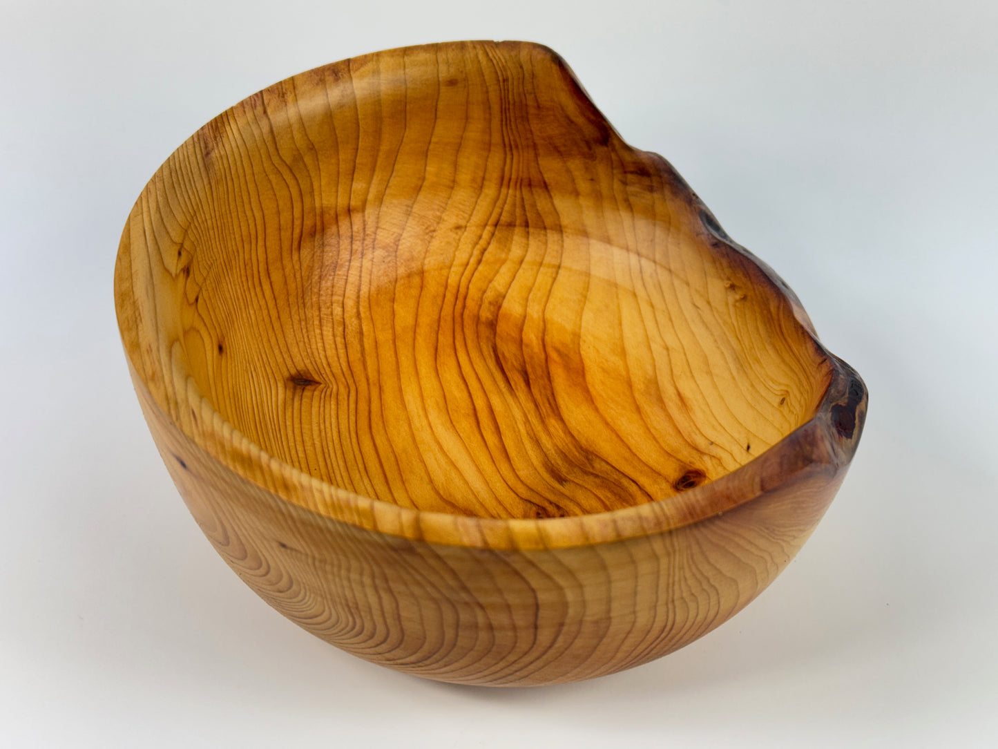 Cornish Yew bowl 15cm