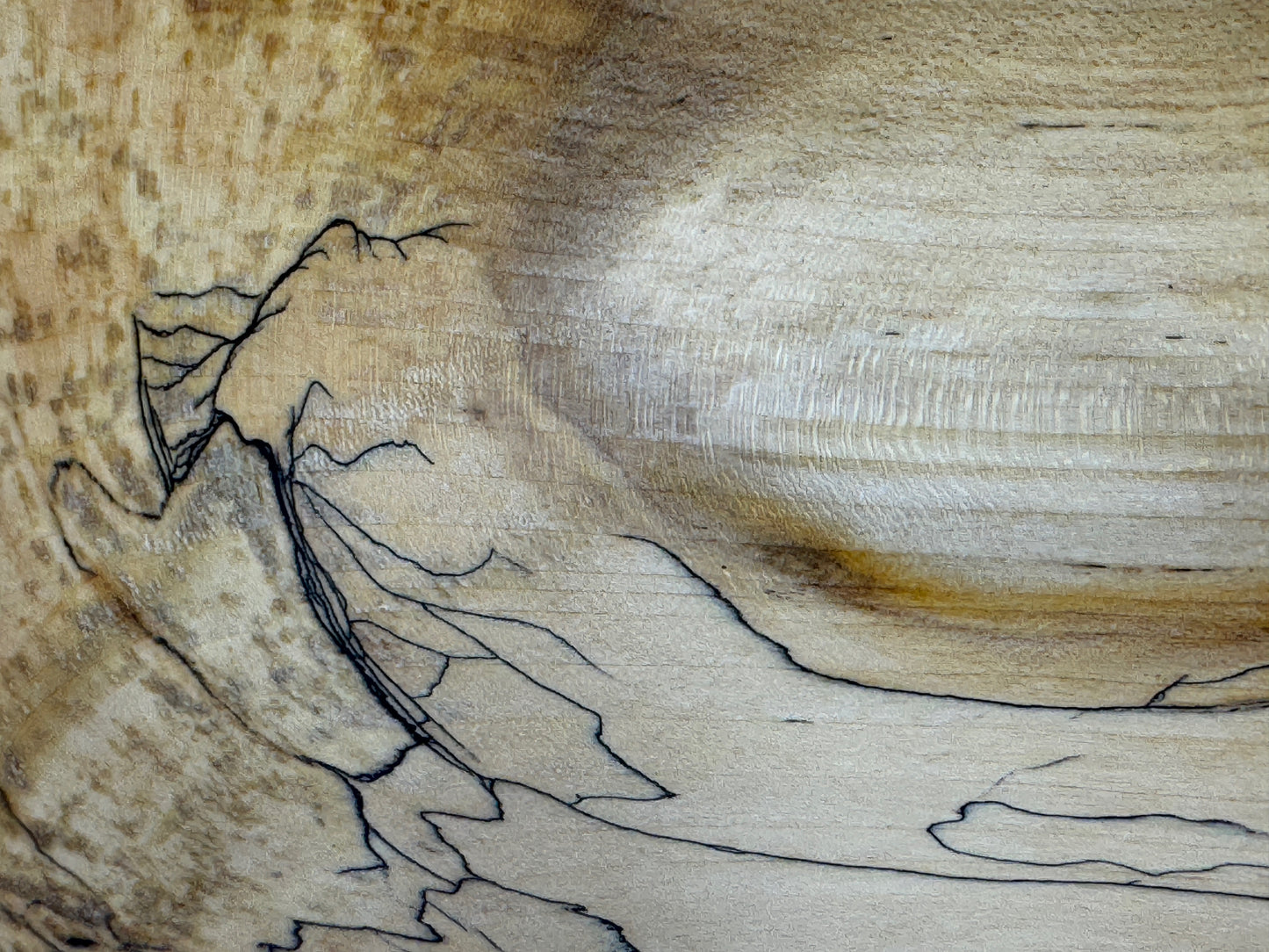 Trereife Sycamore no. 26 bowl