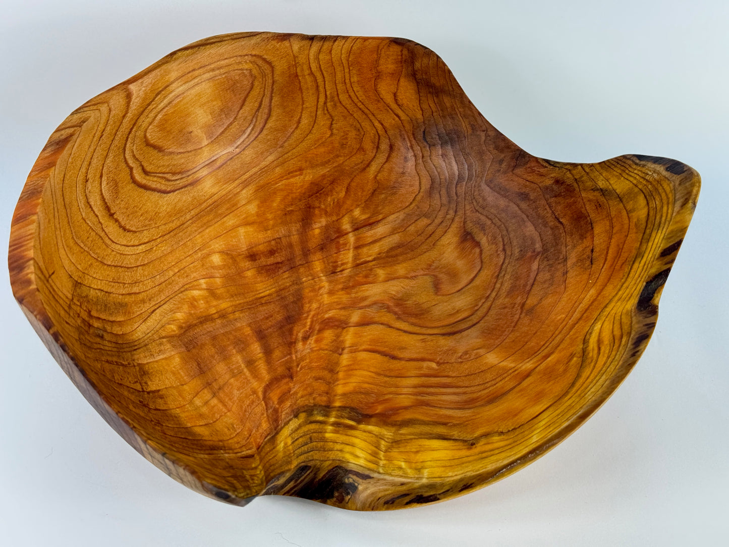 Dawn Redwood no. 6 bowl - 26cm