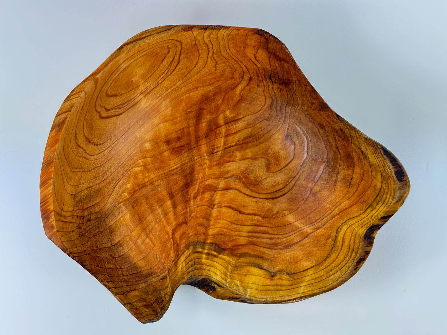 Dawn Redwood no. 6 bowl - 26cm