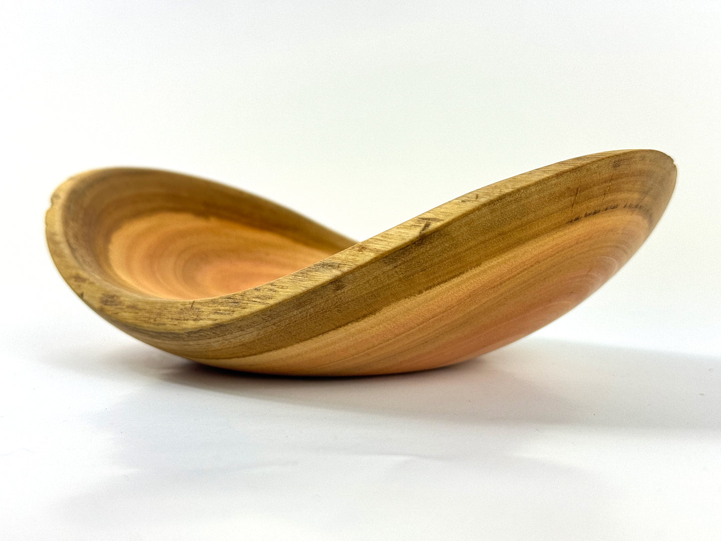 Cornish Eucalyptus no. 4 Bowl - 21cm