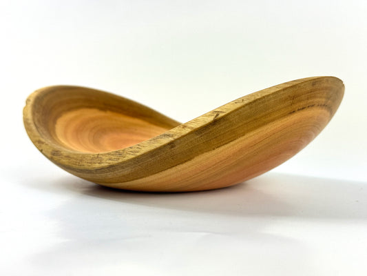 Cornish Eucalyptus no. 4 Bowl - 21cm