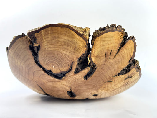Carbis Bay Cankered Ash no. 26 Bowl - 36cm