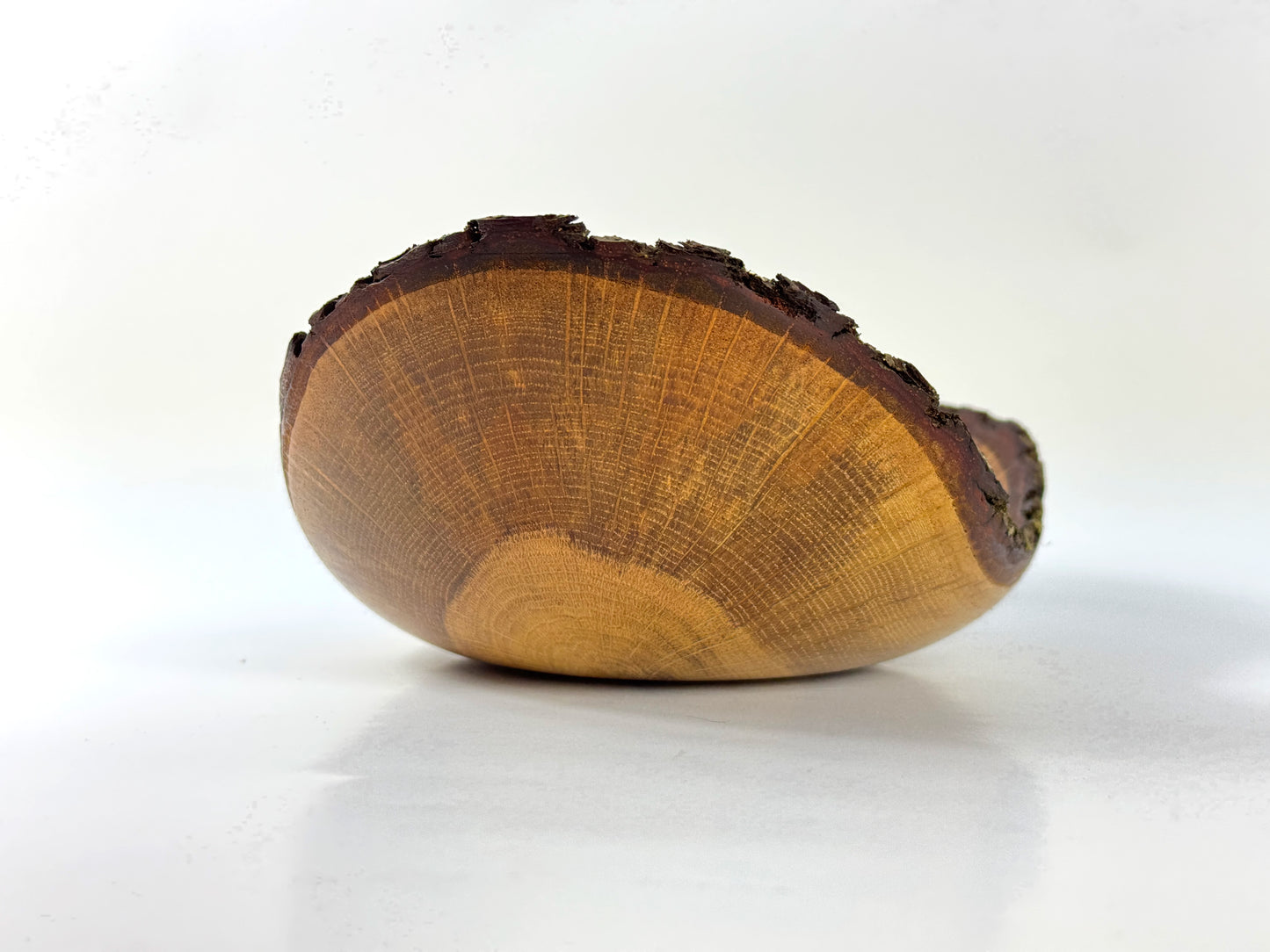 Carbis Bay Oak no. 10 Bowl 21cm