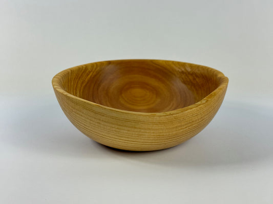 Cornish Macrocarpa 12cm bowl