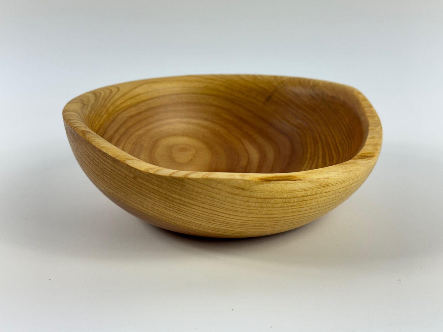 Cornish Macrocarpa 14cm bowl