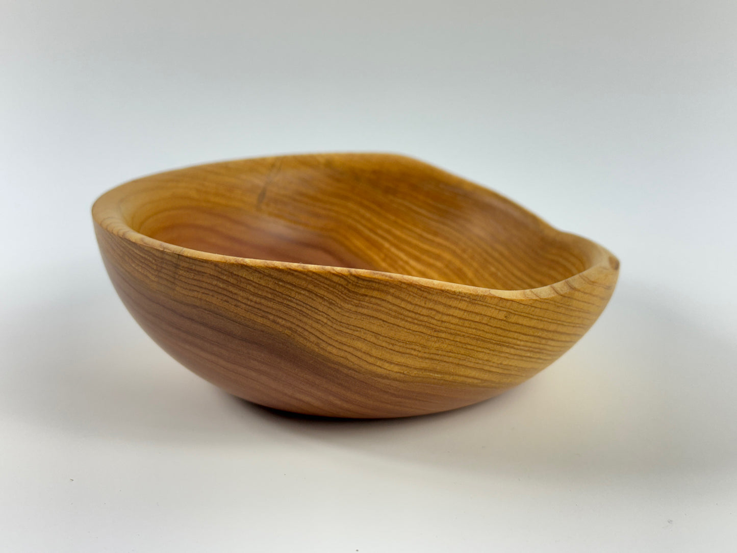 Cornish Macrocarpa 14cm bowl