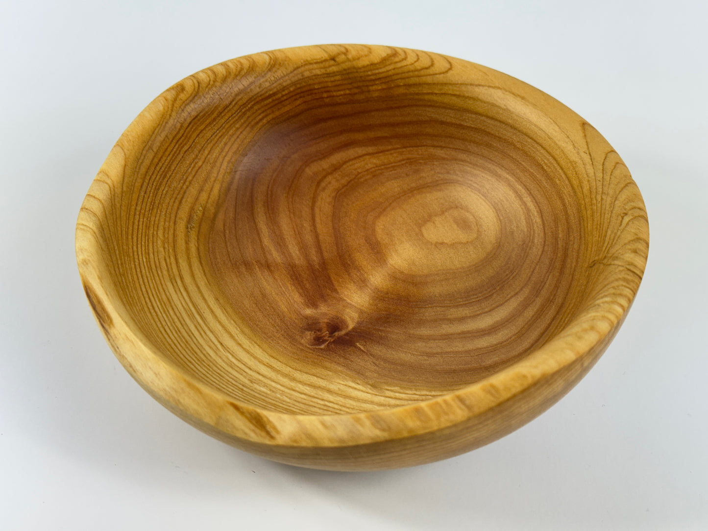 Cornish Macrocarpa 14cm bowl