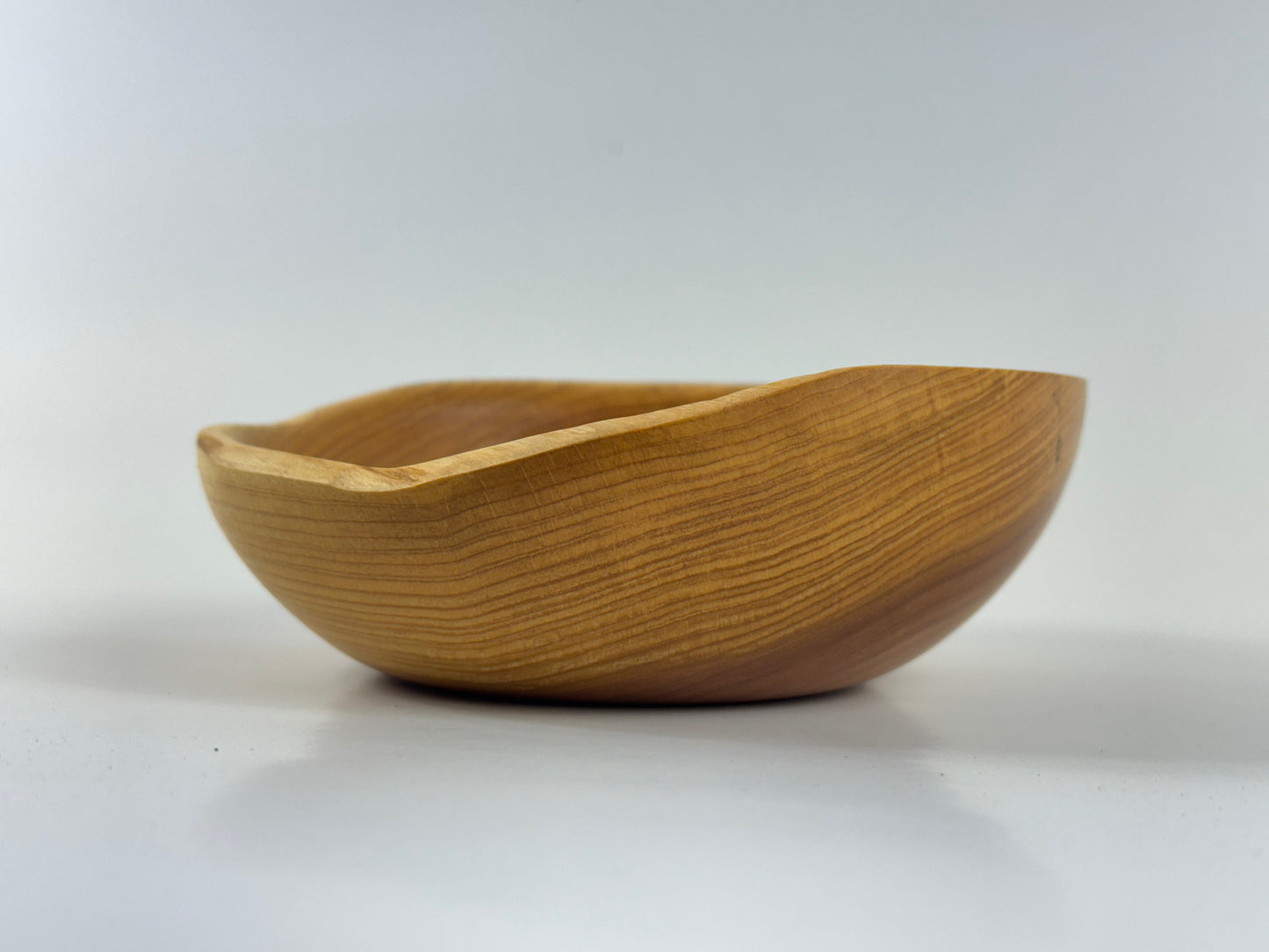 Cornish Macrocarpa 14cm bowl