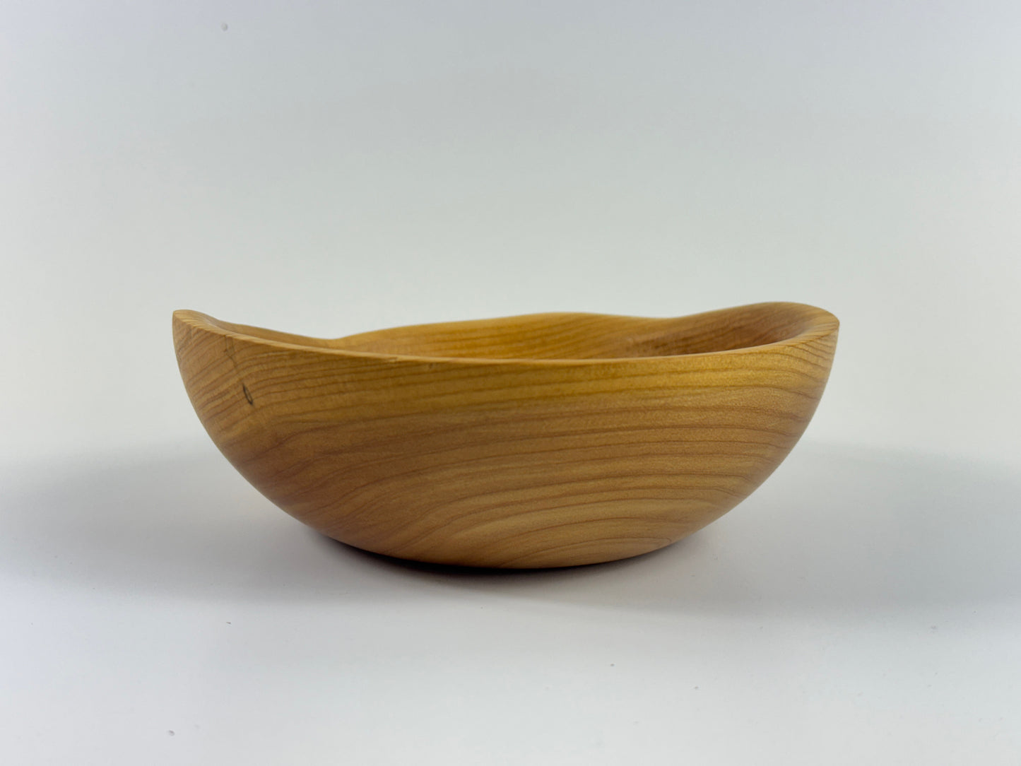 Cornish Macrocarpa 14cm bowl