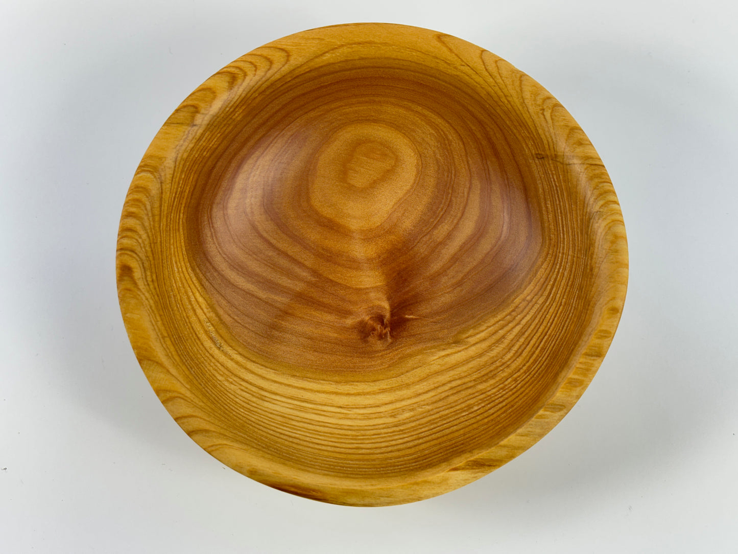 Cornish Macrocarpa 14cm bowl