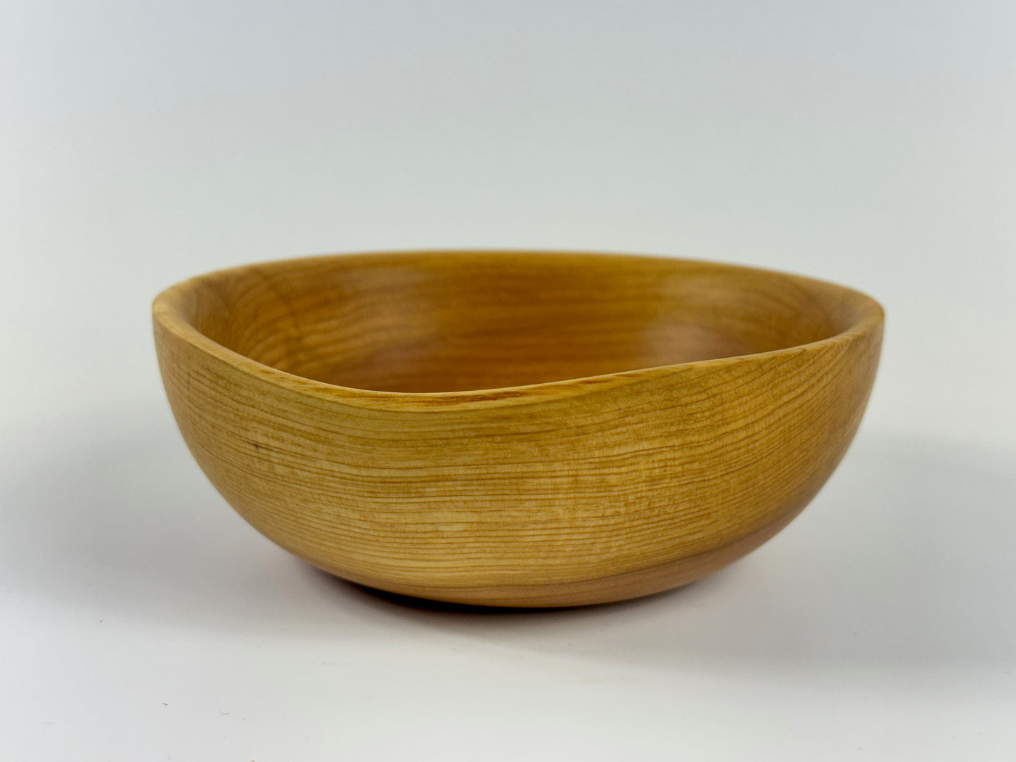 Cornish Macrocarpa 13cm bowl