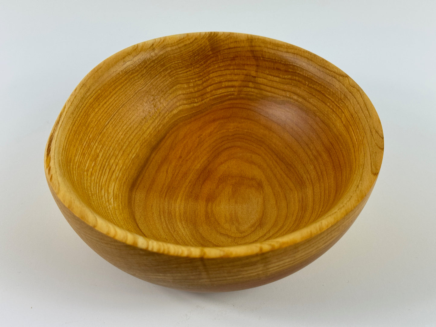 Cornish Macrocarpa 13cm bowl