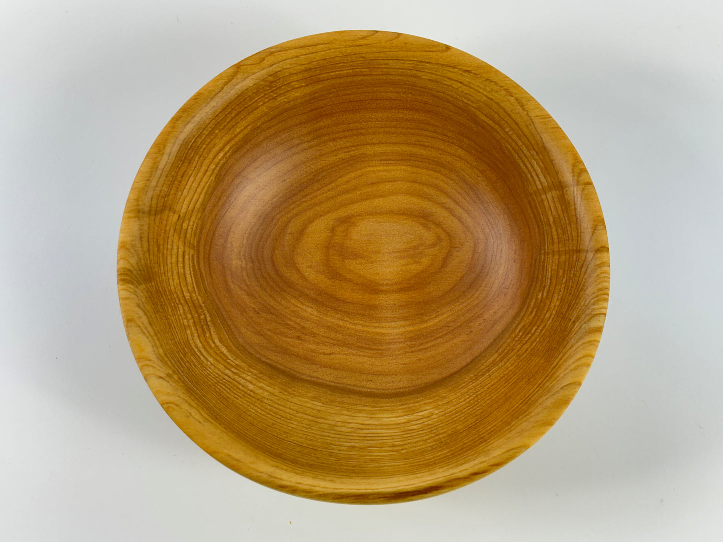 Cornish Macrocarpa 13cm bowl