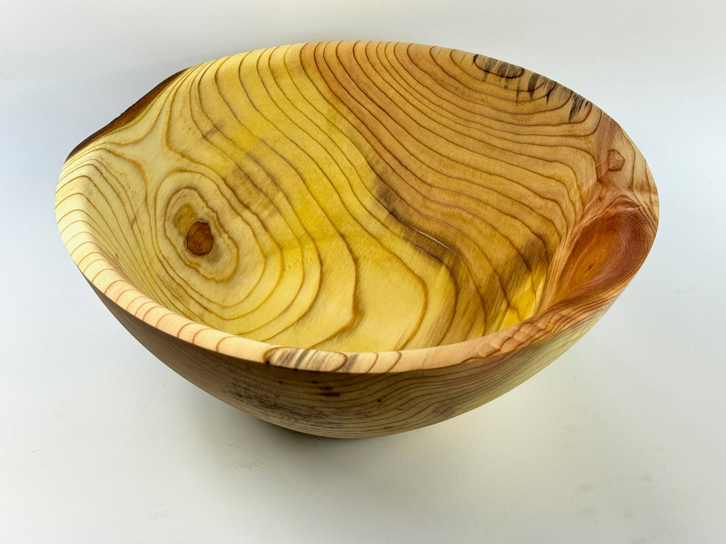 Dawn Redwood no. 18 Bowl - 29cm