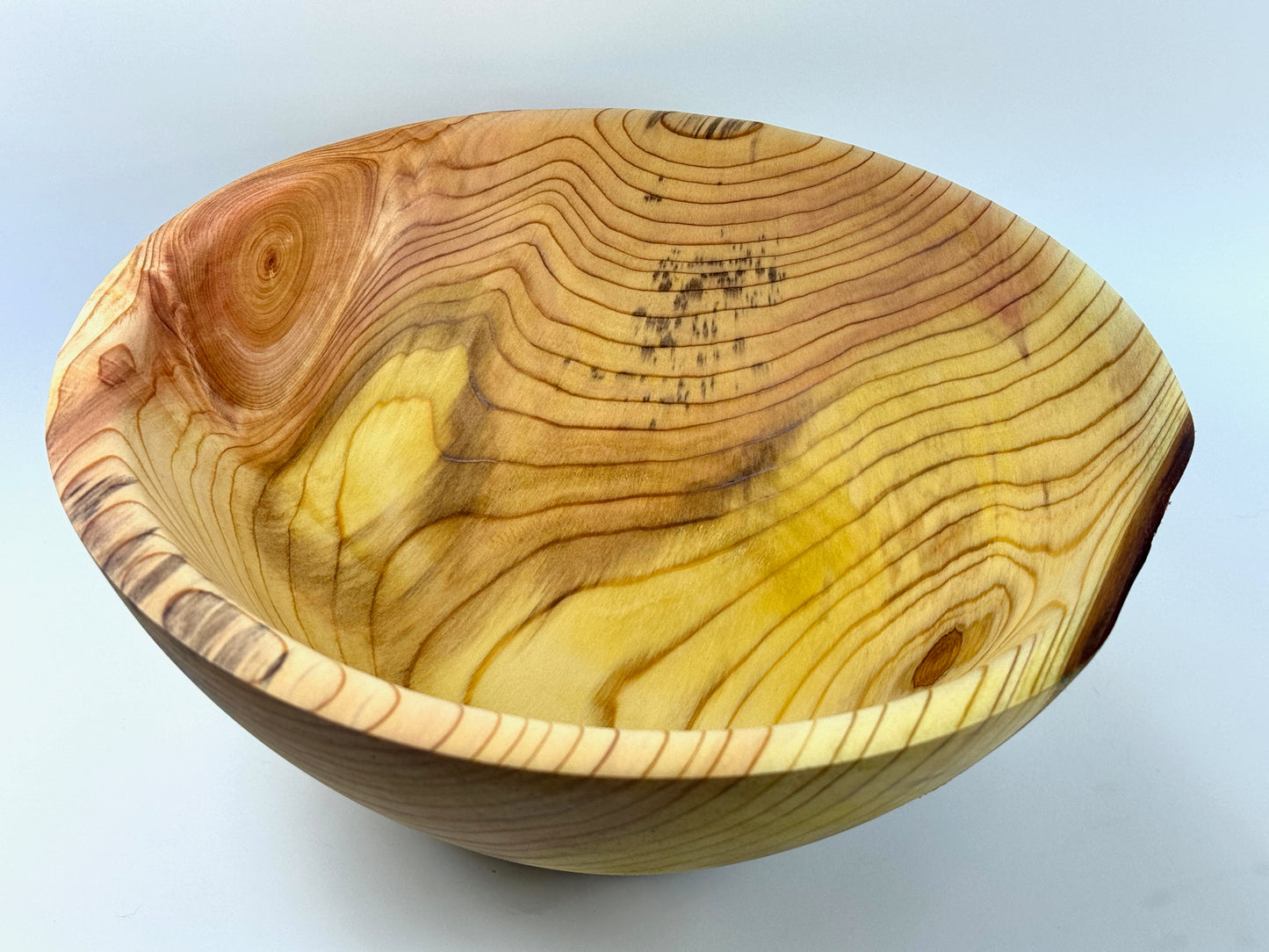 Dawn Redwood no. 18 Bowl - 29cm