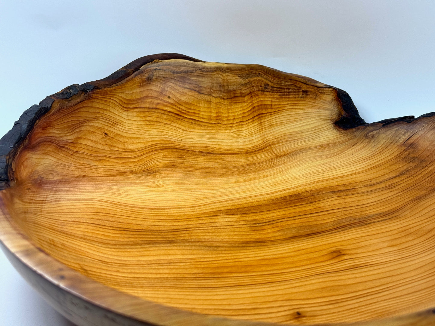 Cornish Yew bowl 32 cm