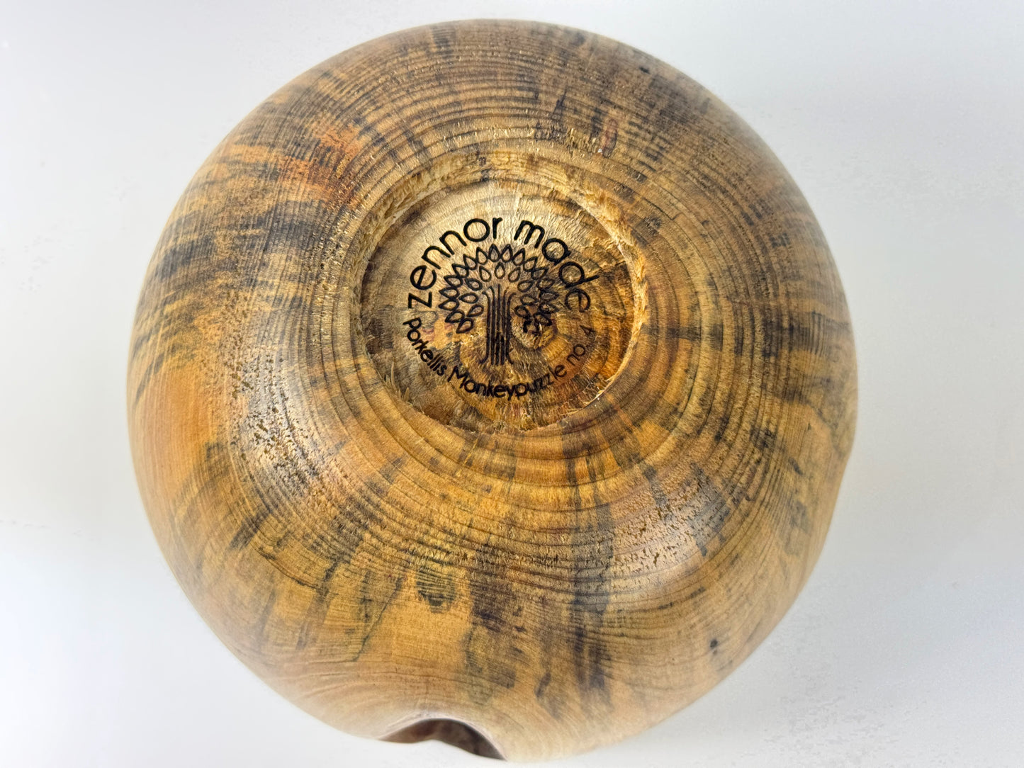 Porkellis Monkeypuzzle Bowl no 4 - 18cm